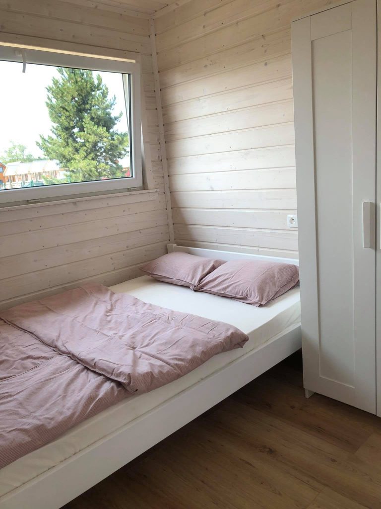 słoneczna gąska galeria