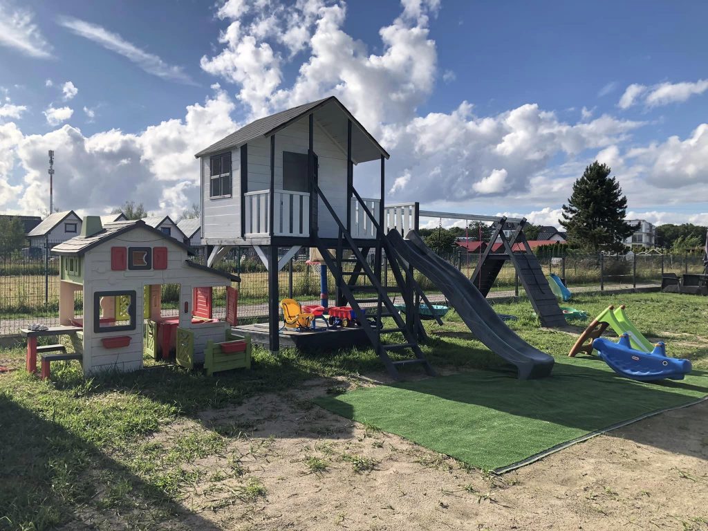 słoneczna gąska galeria